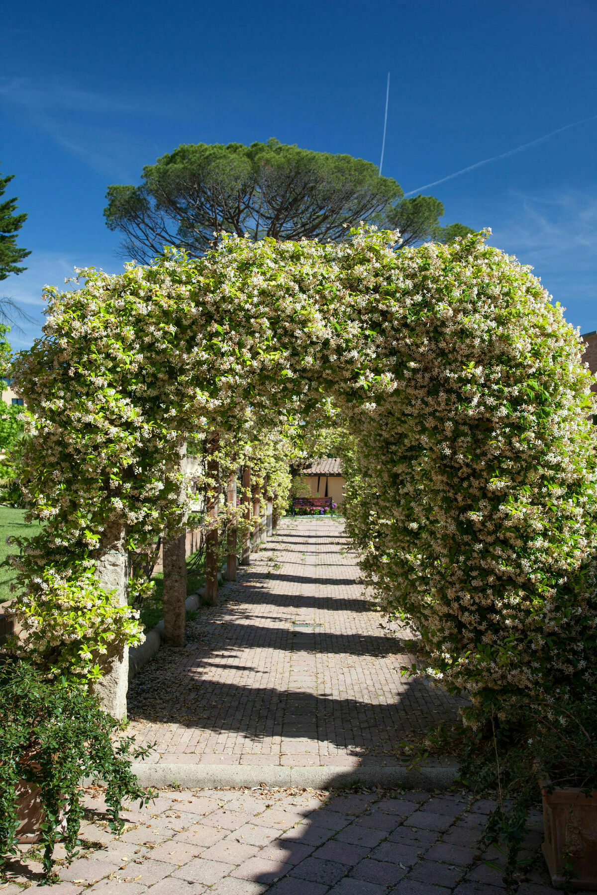 Villa Borri Casciana Terme Dış mekan fotoğraf
